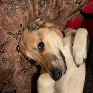 Meet your Posher, Joanna